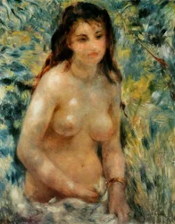 Torso, Sun Effect